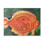 Sunfish Post Cards