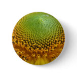 Sunflower 2 button