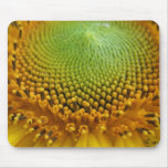 Sunflower 2 mouse pads