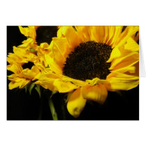 Sunflower #3 greeting cards