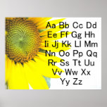 Sunflower Alphabet Chart Poster