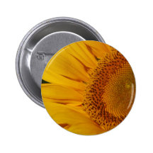 Sunflower and meaning buttons