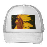 Sunflower and meaning mesh hats