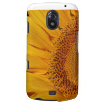 Sunflower and meaning samsung galaxy nexus cases