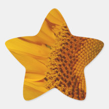 Sunflower and meaning stickers