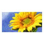 Sunflower Art photo cards