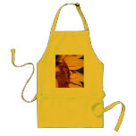 Sunflower, bee and meaning aprons