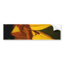 Sunflower, bee and meaning bumper stickers