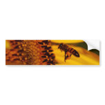 Sunflower, bee and meaning bumper stickers