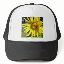 Sunflower Bee Trucker Hats