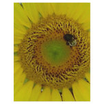 Sunflower Bee Pretty Personalized Flyer