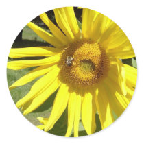 Sunflower Bee Round Stickers
