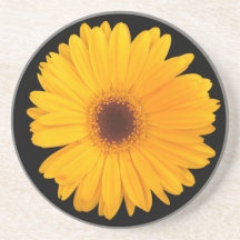 sunflower beverage coaster