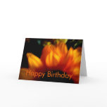 Sunflower • Birthday Card
