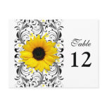Sunflower Black & White Floral Table Number Card postcards