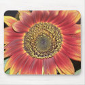 Sunflower Blossom Mouse Pad mousepads