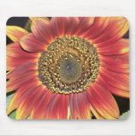Sunflower Blossom Mouse Pad mousepads