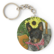 Sunflower blue heeler keychain