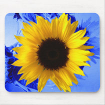 Sunflower Blue