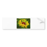 Sunflower bumper stickers