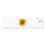 Sunflower Bumper Sticker