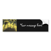 Sunflower bumper stickers