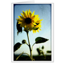 sunflower card