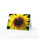 Sunflower Greeting Card