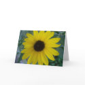 sunflower cards