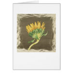 Sunflower Card