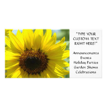 SUNFLOWER CARDS Announcements Events Parties Customised Photo Card