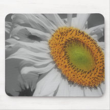Sunflower Close Up Black White Mousepad