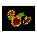 Sunflower Cluster Postcard