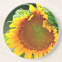 Sunflower Coaster