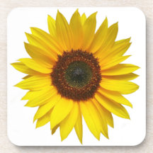 Sunflower Coaster Set