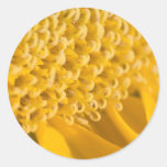 Sunflower Edge Stickers