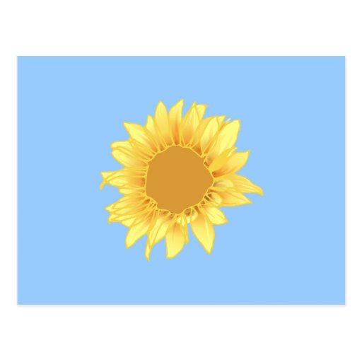 Sunflower Elegance Post Cards