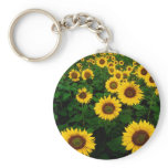 sunflower field keychains