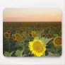 Sunflower Field Mouse Pads