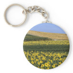 Sunflower fields, Tuscany, Italy Keychains