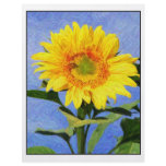SunFlower flyers