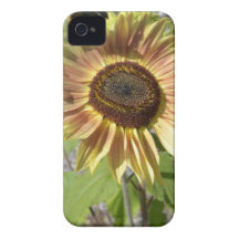 Sunflower Garden iPhone4 Case iPhone 4 Cases