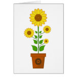 Sunflower in Pot Card