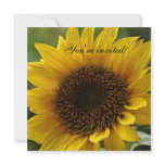 Sunflower invitation