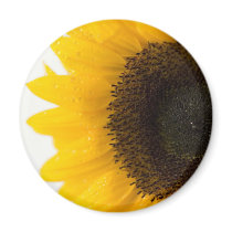 sunflower refrigerator magnet