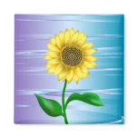 Sunflower magnets