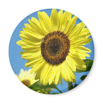 SUNFLOWER MAGNETS Refrigerator Magnet Gifts