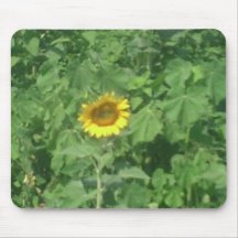 Sunflower Mouse Pad