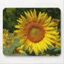 Sunflower Mouse Mats