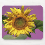 Sunflower Mousepad mousepads